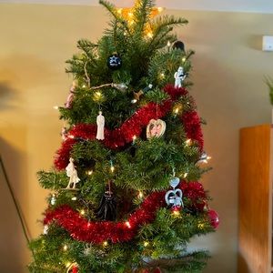 Meet your Posher, Shannon